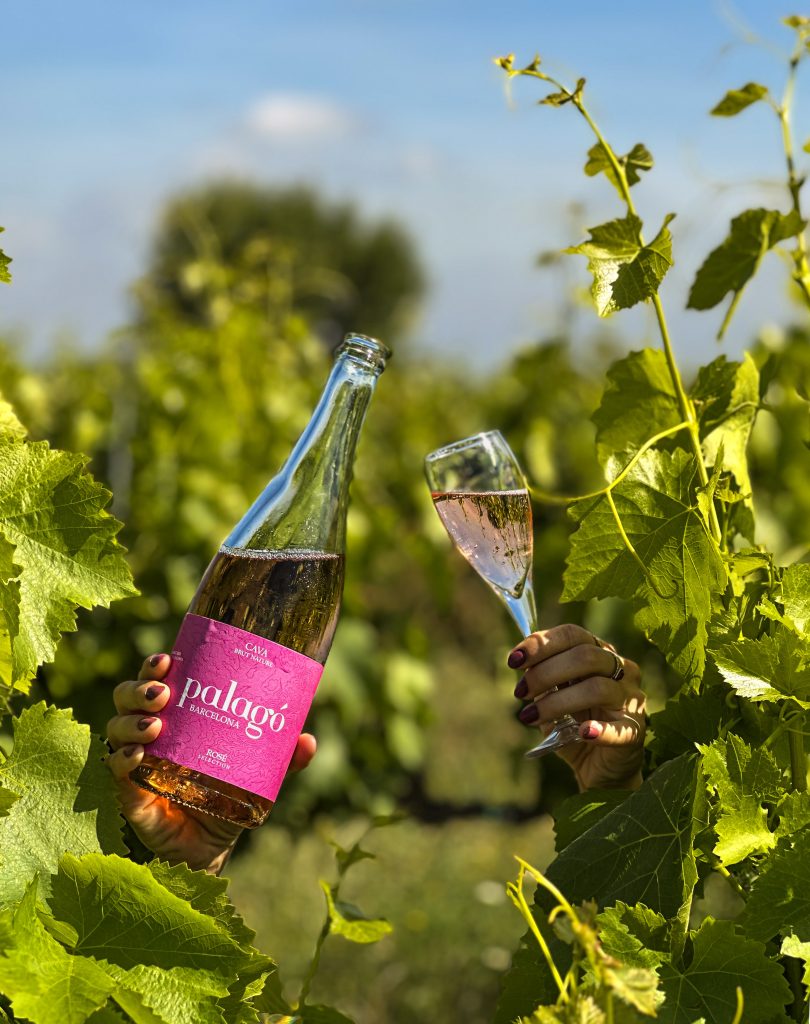 artcava palago